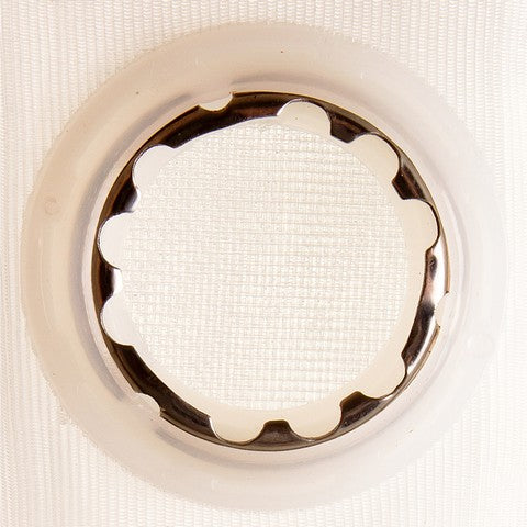 Delphi Fuel Pump Strainer  FS0070