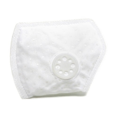 Delphi Fuel Pump Strainer  FS0187