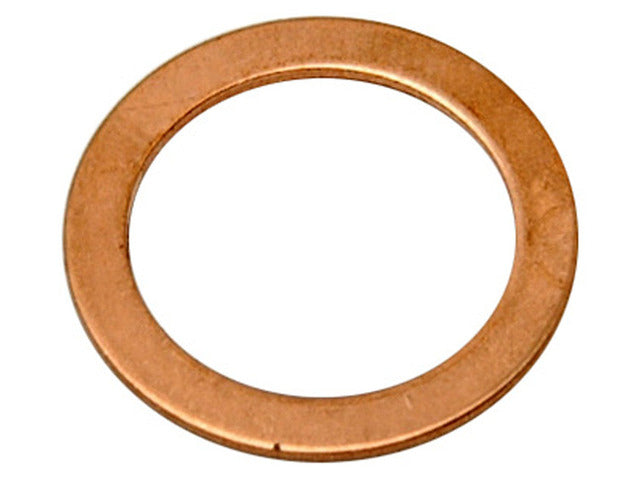 Raybestos Brakes Banjo Washer  G1246