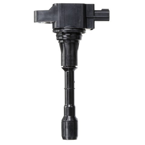 Delphi Ignition Coil  GN10244