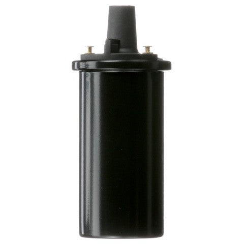 Delphi Ignition Coil  GN10273