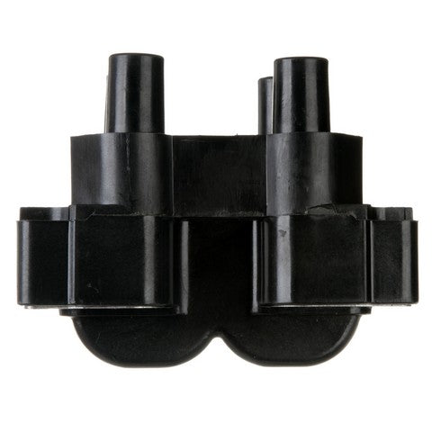 Delphi Ignition Coil  GN10295