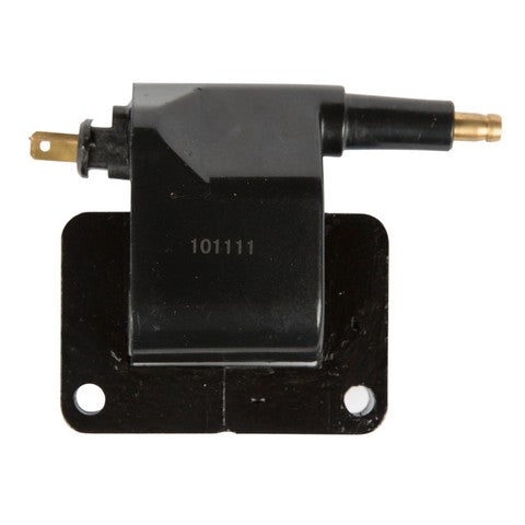 Delphi Ignition Coil  GN10359
