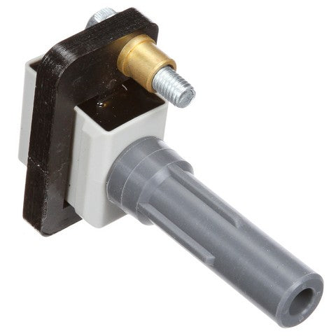 Delphi Ignition Coil  GN10484