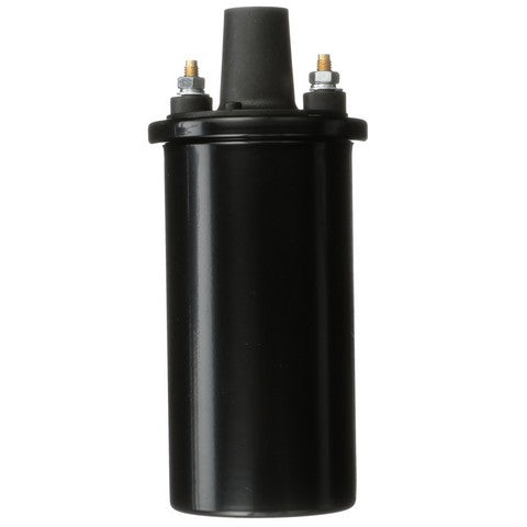Delphi Ignition Coil  GN10854