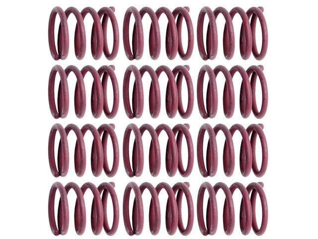 Raybestos Brakes Drum Brake Shoe Hold Down Spring  H11152