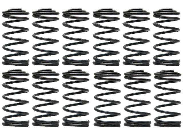 Raybestos Brakes Drum Brake Shoe Hold Down Spring  H1153