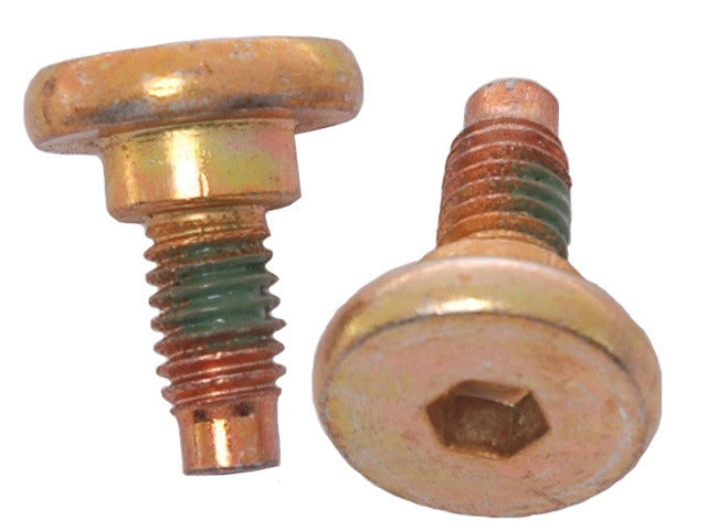 Raybestos Brakes Disc Brake Caliper Bolt Kit  H5019W