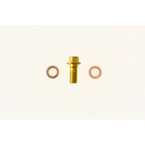 Carlson Brake Hydraulic Banjo Bolt  H9507-2