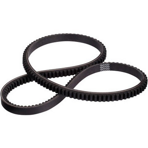 Dayco Accessory Drive Belt  22555