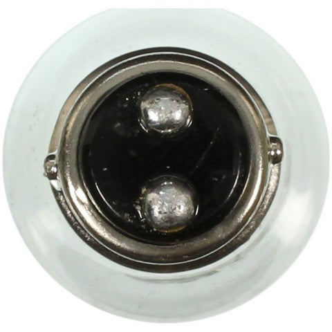 Wagner Lighting Brake Light Bulb,Side Marker Light Bulb,Tail Light Bulb,Turn Signal Light Bulb  1034