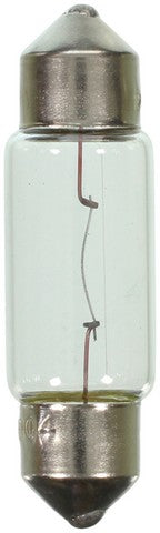 Wagner Lighting Courtesy Light Bulb,Dome Light Bulb,Map Light Bulb,Trunk Light Bulb  11004