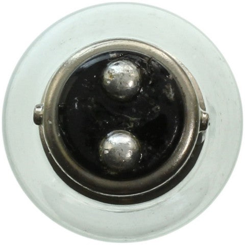Wagner Lighting Brake Light Bulb,Tail Light Bulb,Turn Signal Light Bulb  1154