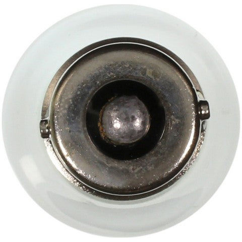 Wagner Lighting Back Up Light Bulb,Engine Compartment Light Bulb,Tail Light Bulb  1156LL