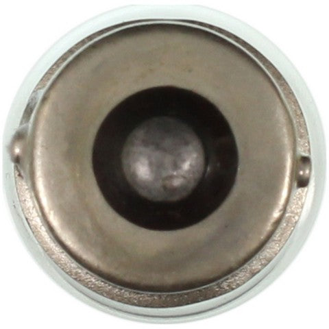 Wagner Lighting Multi Purpose Light Bulb  1251