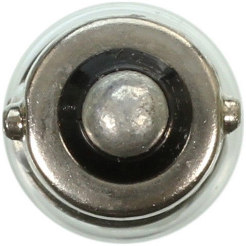 Wagner Lighting Glove Box Light Bulb,Instrument Panel Light Bulb,Map Light Bulb  1445
