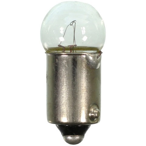 Wagner Lighting Glove Box Light Bulb,Instrument Panel Light Bulb,Map Light Bulb  1445