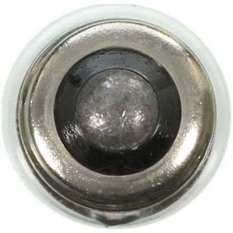 Wagner Lighting Instrument Panel Light Bulb,License Plate Light Bulb  1449