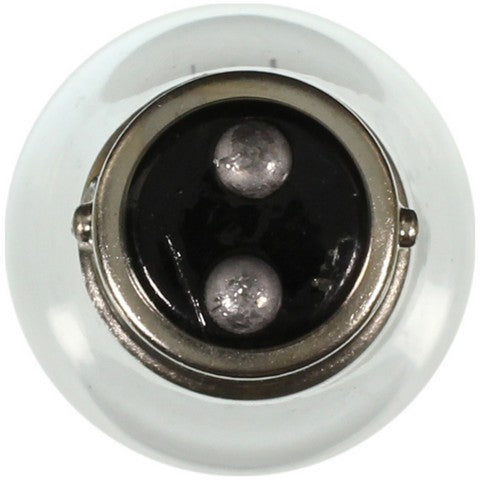 Wagner Lighting Multi Purpose Light Bulb  1662