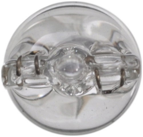 Wagner Lighting Back Up Light Bulb,Dome Light Bulb,Instrument Panel Light Bulb,Tail Light Bulb  17177