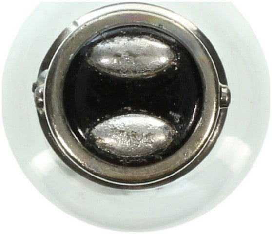 Wagner Lighting Center High Mount Stop Light Bulb,Tail Light Bulb,Turn Signal Light Bulb  17916