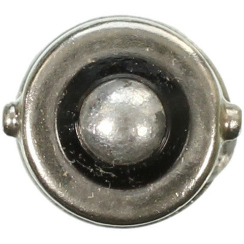 Wagner Lighting Courtesy Light Bulb,Glove Box Light Bulb,Instrument Panel Light Bulb  1892