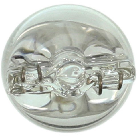 Wagner Lighting Courtesy Light Bulb,Dome Light Bulb,Instrument Panel Light Bulb,Map Light Bulb  192