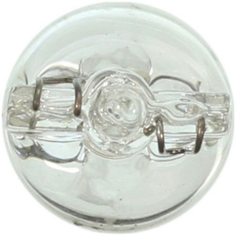 Wagner Lighting Instrument Panel Light Bulb,Parking Light Bulb,Roof Marker Light Bulb  193