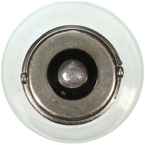 Wagner Lighting Back Up Light Bulb,Turn Signal Light Bulb,Work Light Bulb  199