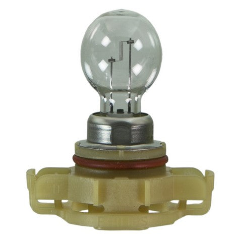 Wagner Lighting Daytime Running Light Bulb,Fog Light Bulb  2504