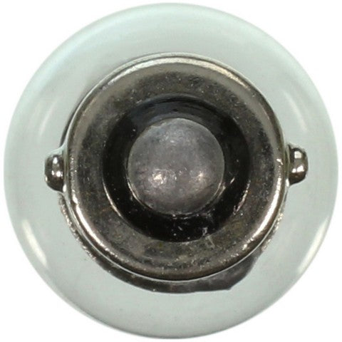 Wagner Lighting Courtesy Light Bulb,Dome Light Bulb,Instrument Panel Light Bulb,Map Light Bulb  293
