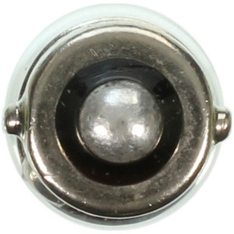Wagner Lighting Ash Tray Light Bulb,Courtesy Light Bulb,Instrument Panel Light Bulb  363