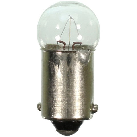 Wagner Lighting Ash Tray Light Bulb,Courtesy Light Bulb,Instrument Panel Light Bulb  363