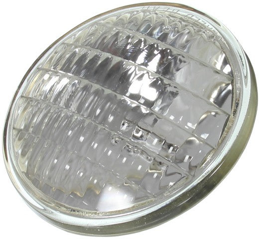 Wagner Lighting Multi Purpose Light Bulb  4411-1