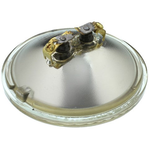 Wagner Lighting Multi Purpose Light Bulb  4415