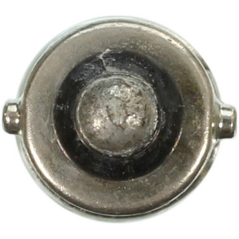 Wagner Lighting Multi Purpose Light Bulb  44