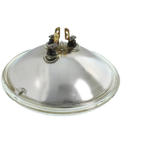 Wagner Lighting Multi Purpose Light Bulb  4579
