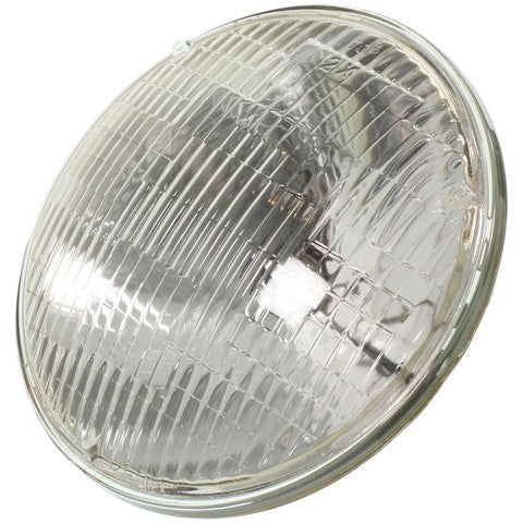 Wagner Lighting Multi Purpose Light Bulb  4800