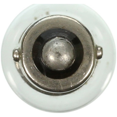 Wagner Lighting Dome Light Bulb,Instrument Panel Light Bulb,Map Light Bulb,Tail Light Bulb  57