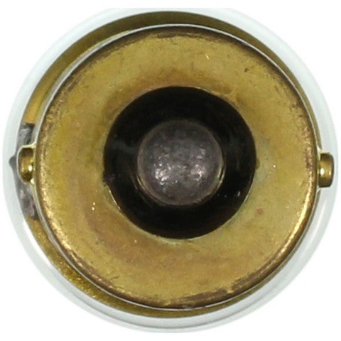 Wagner Lighting Multi Purpose Light Bulb  623