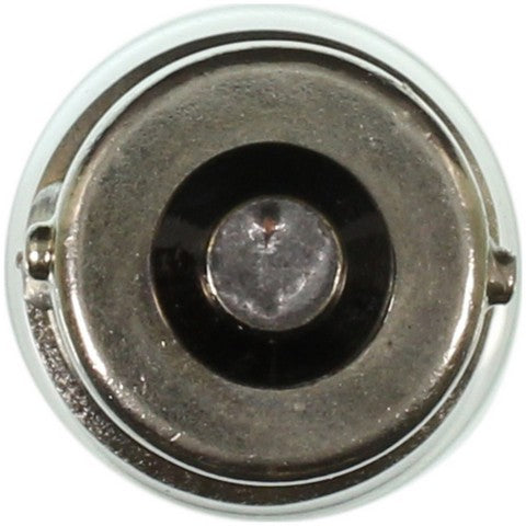 Wagner Lighting Courtesy Light Bulb,Dome Light Bulb,Glove Box Light Bulb,Map Light Bulb  631