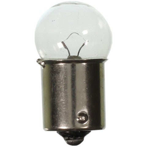 Wagner Lighting License Plate Light Bulb,Parking Light Bulb,Tail Light Bulb  63