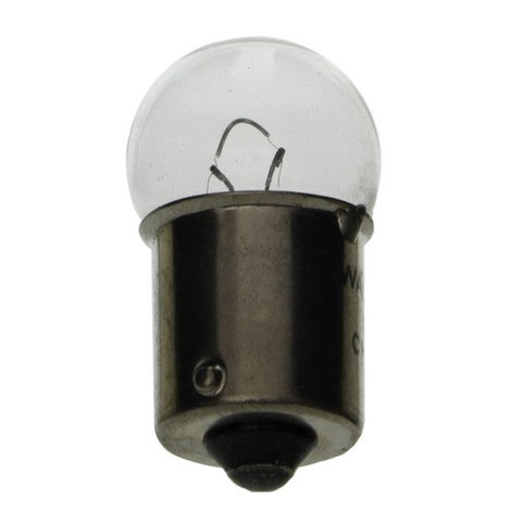 Wagner Lighting Dome Light Bulb,Instrument Panel Light Bulb,Map Light Bulb,Tail Light Bulb  67