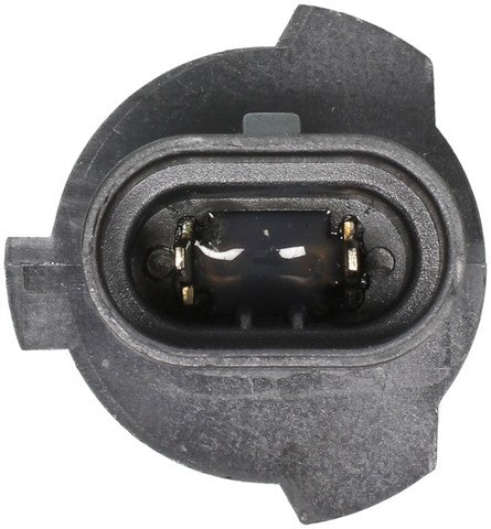 Wagner Lighting Headlight Bulb  9005XS