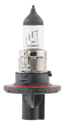 Wagner Lighting Cornering Light Bulb,Daytime Running Light Bulb,Headlight Bulb  9008
