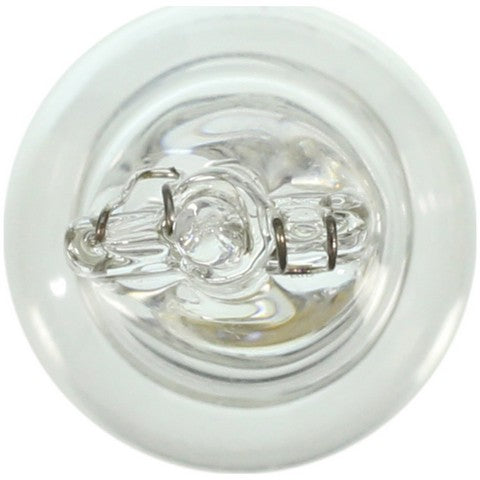 Wagner Lighting Back Up Light Bulb,Dome Light Bulb,Map Light Bulb,Tail Light Bulb  904
