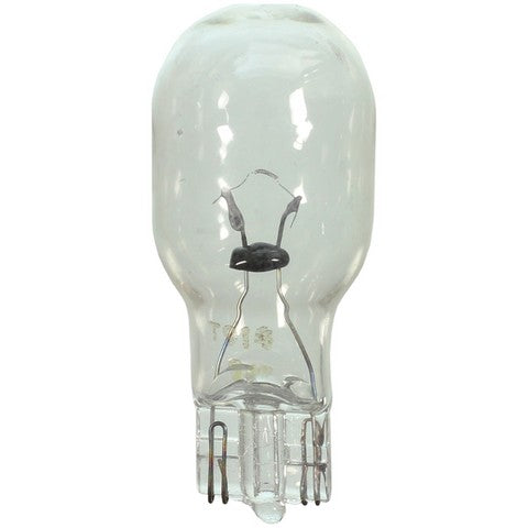 Wagner Lighting Multi Purpose Light Bulb  914