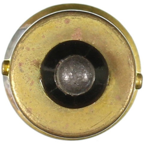 Wagner Lighting Courtesy Light Bulb,Engine Compartment Light Bulb,Trunk Light Bulb  98