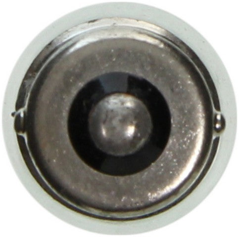 Wagner Lighting Back Up Light Bulb,Dome Light Bulb,Glove Box Light Bulb,Map Light Bulb  BP1003LL