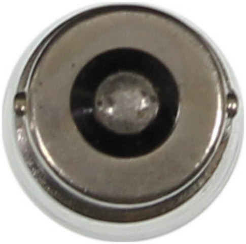 Wagner Lighting Back Up Light Bulb,Dome Light Bulb,Glove Box Light Bulb,Map Light Bulb  BP1003